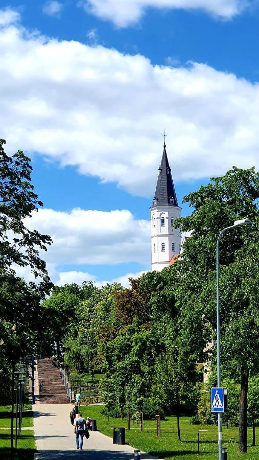 Apartment Next To Cathedral Of Saints Peter & Paul Szawle Zewnętrze zdjęcie